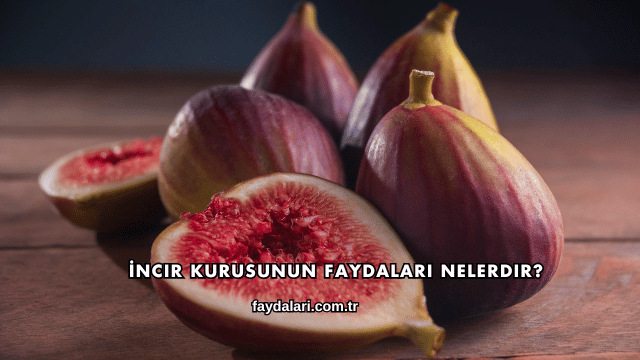İncir Kurusunun Faydaları Nelerdir?