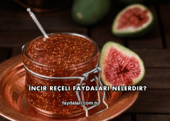 İncir Reçeli Faydaları Nelerdir?