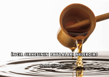 İncir Sirkesinin Faydaları Nelerdir?