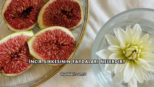 İncir Sirkesinin Faydaları Nelerdir?