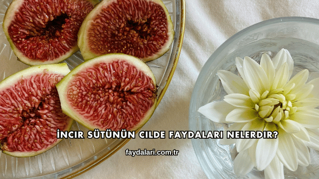 İncir Sütünün Cilde Faydaları Nelerdir?