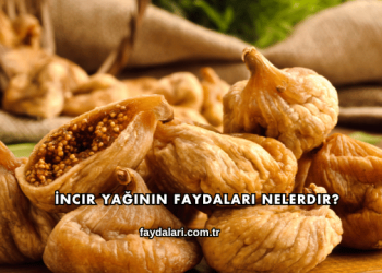 İncir Yağının Faydaları Nelerdir?