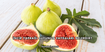İncir Yaprağı Suyunun Faydaları Nelerdir?