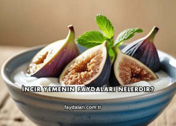 İncir Yemenin Faydaları Nelerdir?