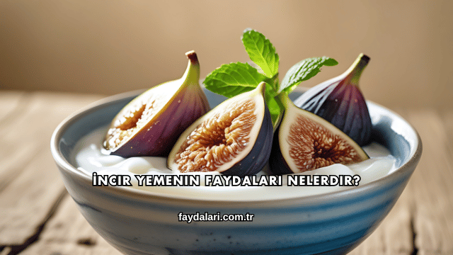 İncir Yemenin Faydaları Nelerdir?