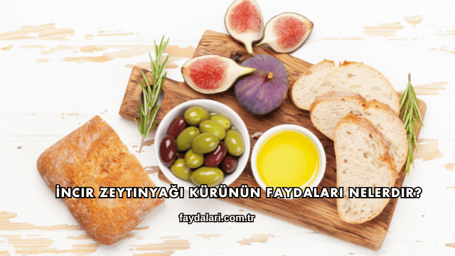 İncir Zeytinyağı Kürünün Faydaları Nelerdir?