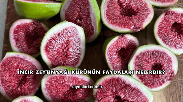 İncir Zeytinyağı Kürünün Faydaları Nelerdir?