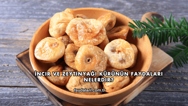 İncir ve Zeytinyağı Kürünün Faydaları Nelerdir?