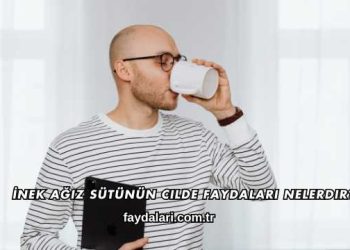 İnek Ağız Sütünün Cilde Faydaları Nelerdir?