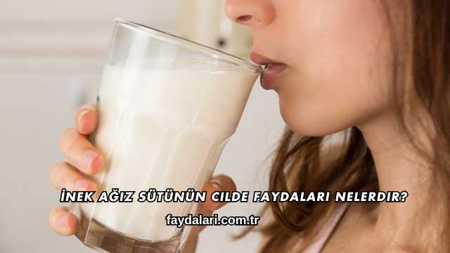 İnek Ağız Sütünün Cilde Faydaları Nelerdir?