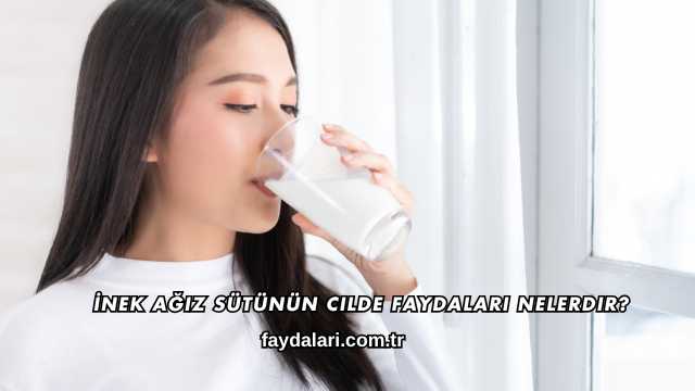 İnek Ağız Sütünün Cilde Faydaları Nelerdir?