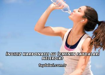 İngiliz Karbonatlı Su İçmenin Faydaları Nelerdir?