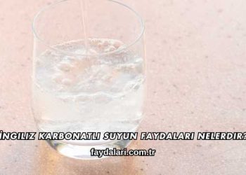 İngiliz Karbonatlı Suyun Faydaları Nelerdir?