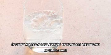İngiliz Karbonatlı Suyun Faydaları Nelerdir?
