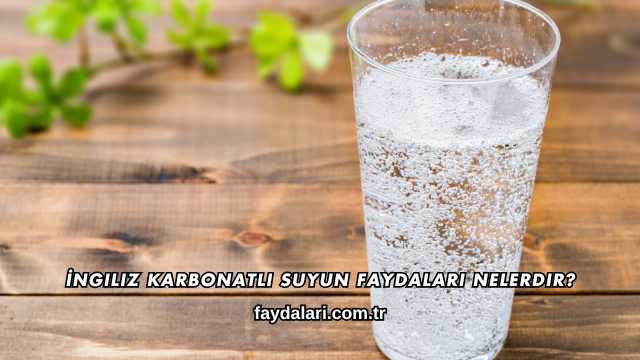 İngiliz Karbonatlı Suyun Faydaları Nelerdir?
