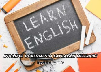 İngilizce Öğrenmenin Faydaları Nelerdir?