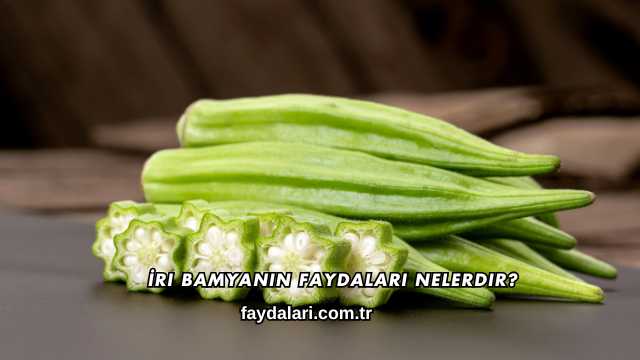 İri Bamyanın Faydaları Nelerdir?