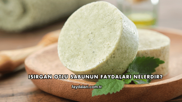 Isırgan Otlu Sabunun Faydaları Nelerdir?