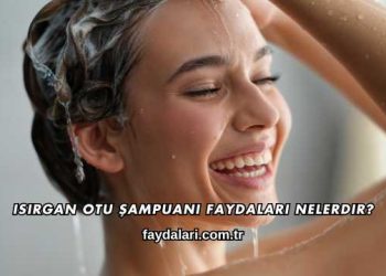 Isırgan Otu Şampuanı Faydaları Nelerdir