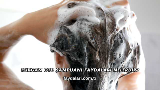Isırgan Otu Şampuanı Faydaları Nelerdir