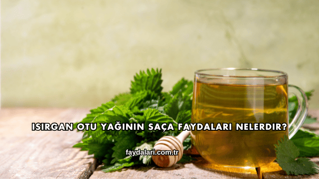 Isırgan Otu Yağının Saça Faydaları Nelerdir?