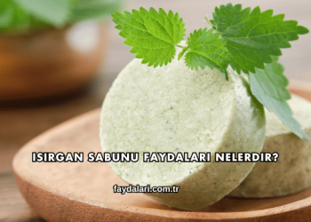 Isırgan Sabunu Faydaları Nelerdir?