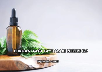 Isırgan Yağı Faydaları Nelerdir?