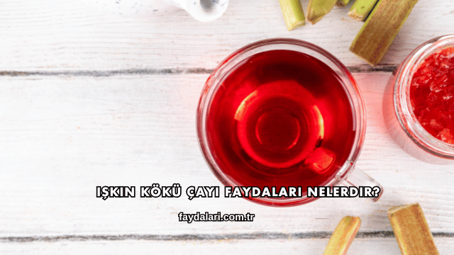 Işkın Kökü Çayı Faydaları Nelerdir?
