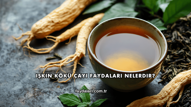 Işkın Kökü Çayı Faydaları Nelerdir?