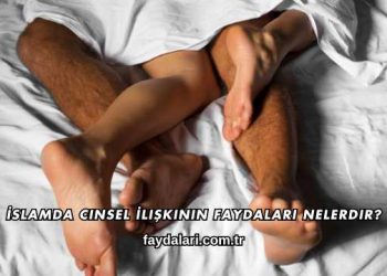 İslamda Cinsel İlişkinin Faydaları Nelerdir?