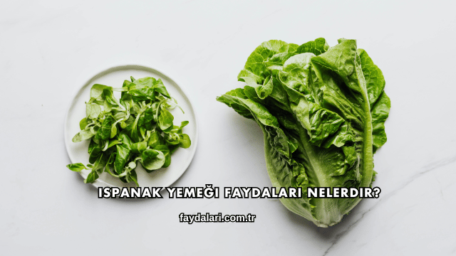 Ispanak Yemeği Faydaları Nelerdir?