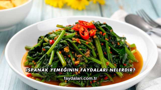 Ispanak Yemeğinin Faydaları Nelerdir?