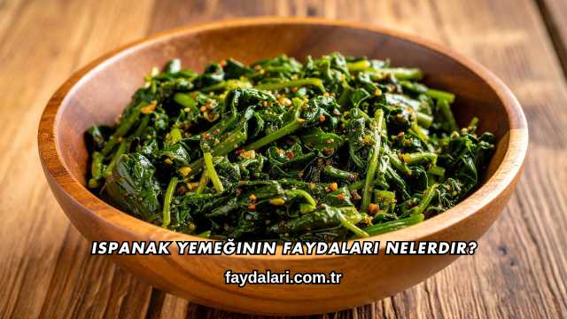 Ispanak Yemeğinin Faydaları Nelerdir?