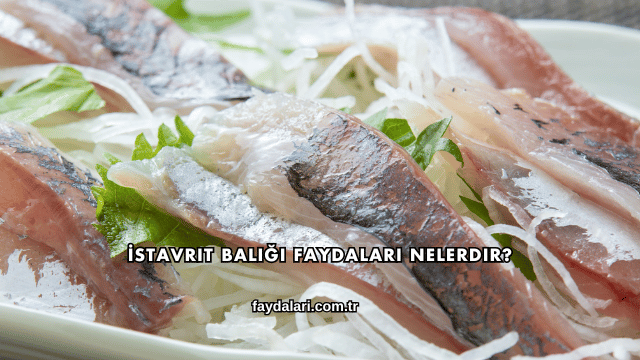 İstavrit Balığı Faydaları Nelerdir?
