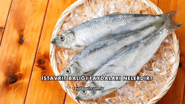 İstavrit Balığı Faydaları Nelerdir?