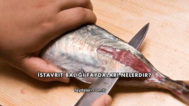 İstavrit Balığı Faydaları Nelerdir?