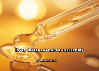 İsveç İksiri Faydaları Nelerdir?