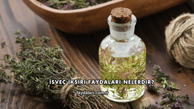 İsveç İksiri Faydaları Nelerdir?
