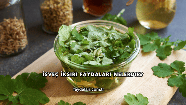 İsveç İksiri Faydaları Nelerdir?