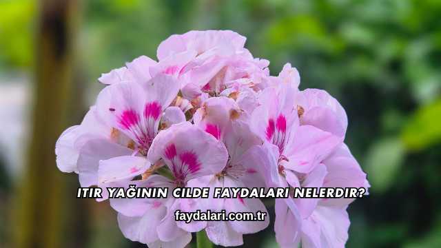 Itır Yağının Cilde Faydaları Nelerdir?