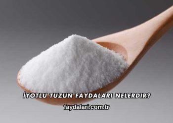 İyotlu Tuzun Faydaları Nelerdir?