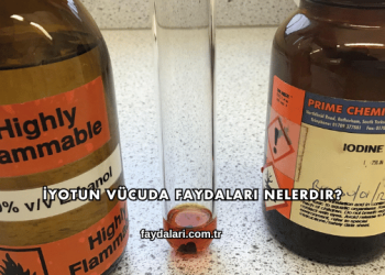 İyotun Vücuda Faydaları Nelerdir?