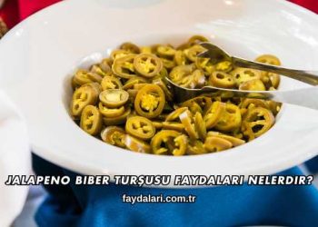 Jalapeno Biber Turşusu Faydaları Nelerdir?