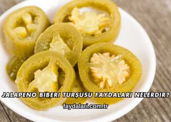 Jalapeno Biberi Turşusu Faydaları Nelerdir?