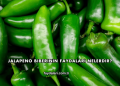 Jalapeno Biberinin Faydaları Nelerdir?