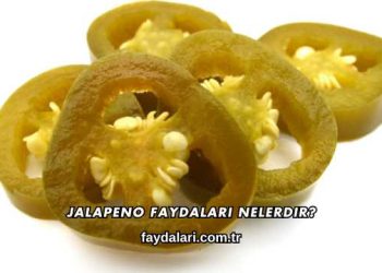 Jalapeno Faydaları Nelerdir?