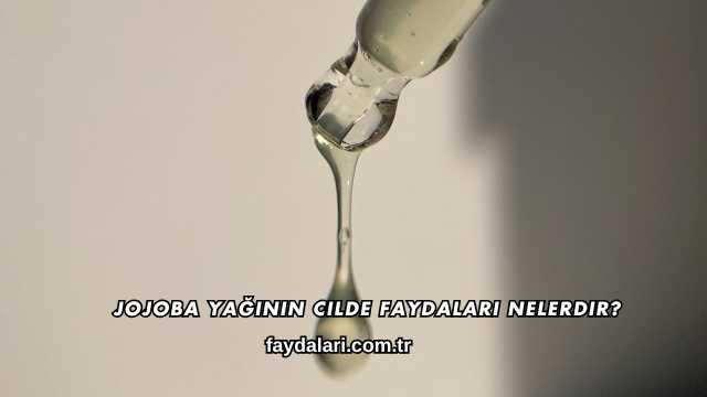 Jojoba Yağının Cilde Faydaları Nelerdir?