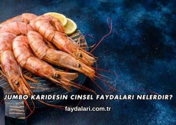 Jumbo Karidesin Cinsel Faydaları Nelerdir?