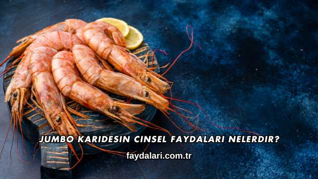 Jumbo Karidesin Cinsel Faydaları Nelerdir?