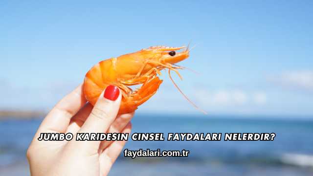Jumbo Karidesin Cinsel Faydaları Nelerdir?